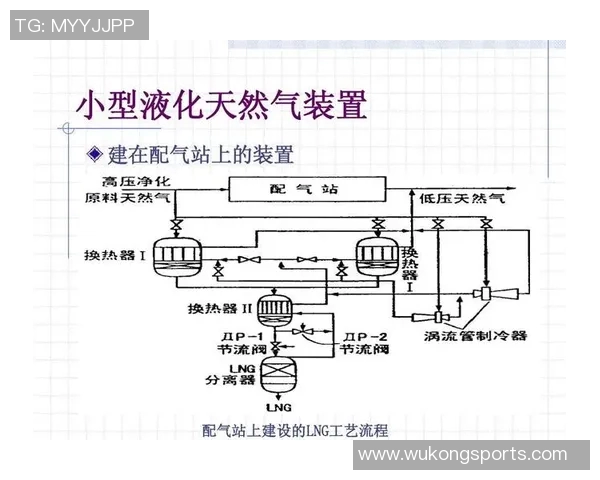 专业分析LNG市场的控制策略与应对方法探讨